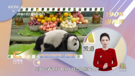 青娱乐91